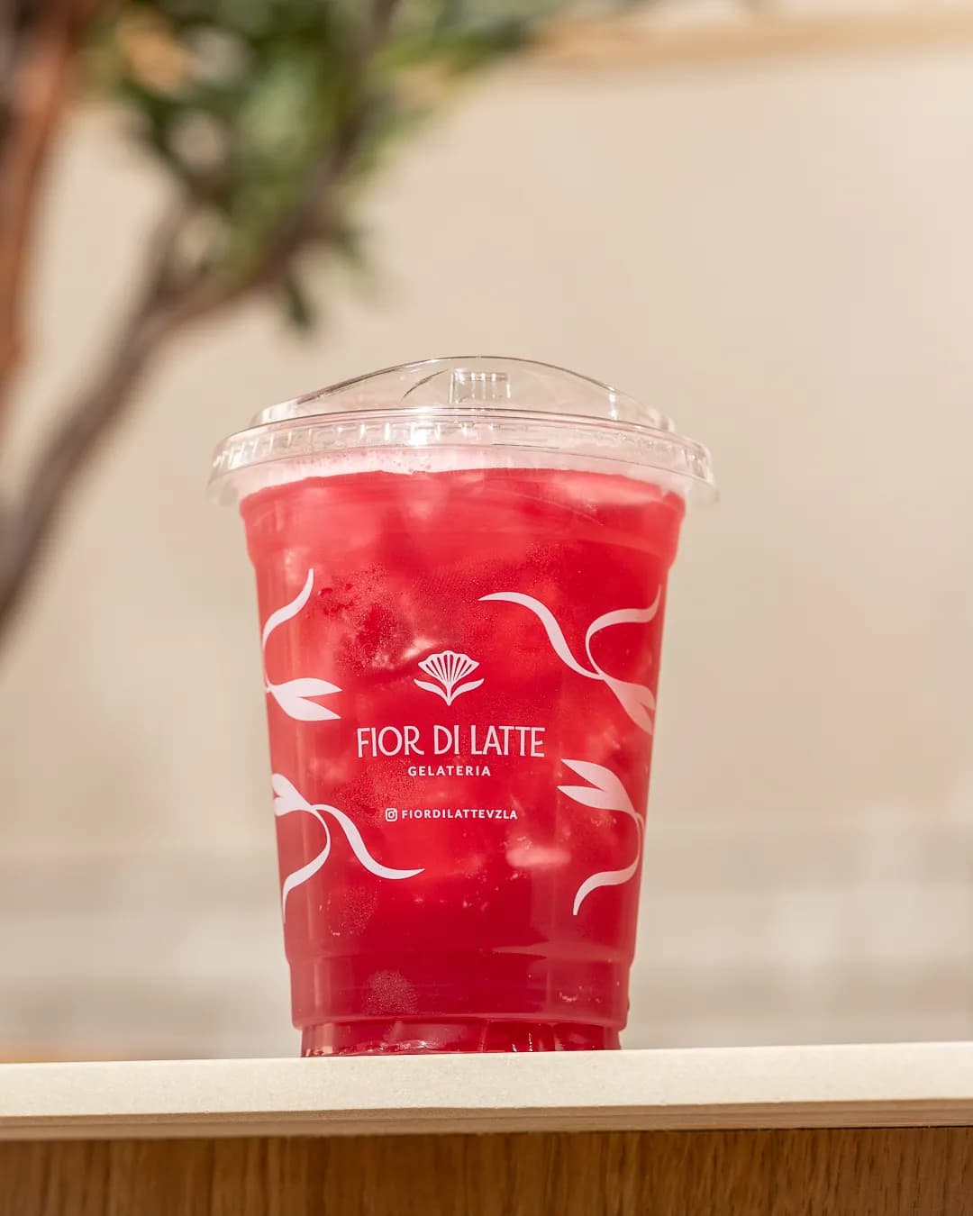 Fior di Latte - Galería 1