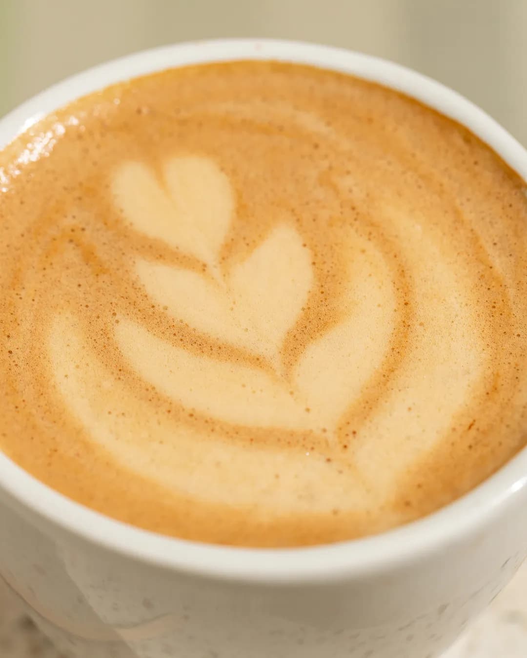 Fior di Latte - Galería 31